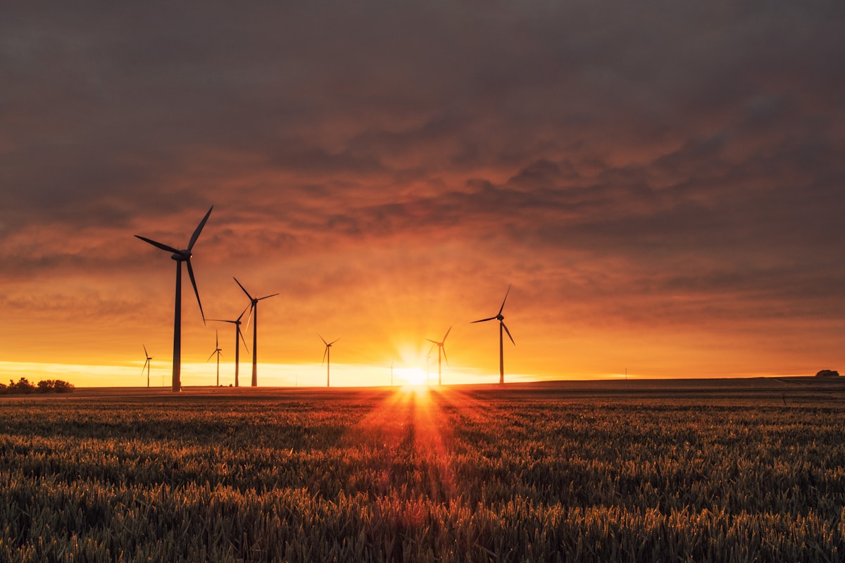 Grande impianto fotovoltaico su tetto di capannone industriale